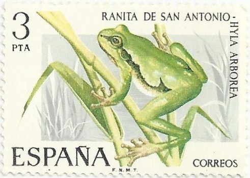 FAUNA HISPANICA. RANITA DE SAN ANTONIO. Hyla arborea. EDIFIL 2274