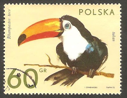 2009 - Tucan