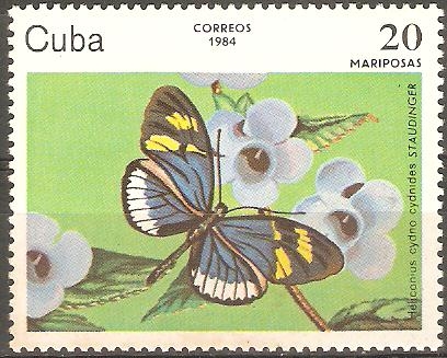 MARIPOSAS.  HELICONIUS  CYDNO  CYDNIDES.