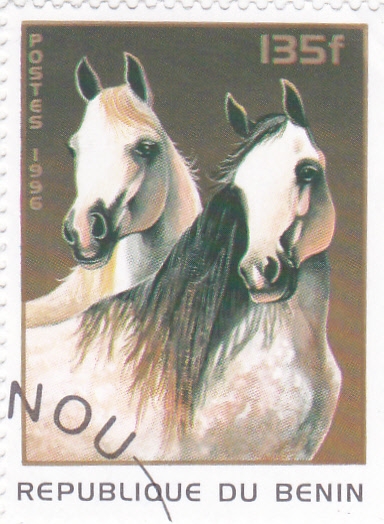 caballos