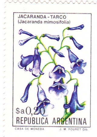 flora- jaranda-tarco