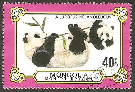 Pandas