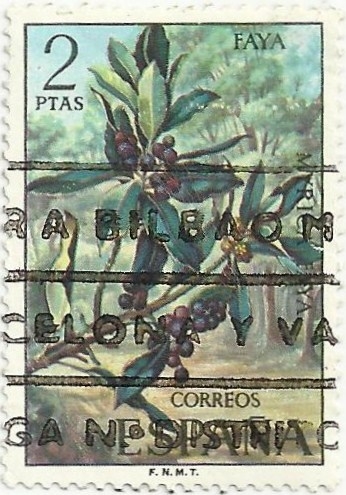 FLORA, IIa SERIE. FAYA. Myrica faya. EDIFIL 2121