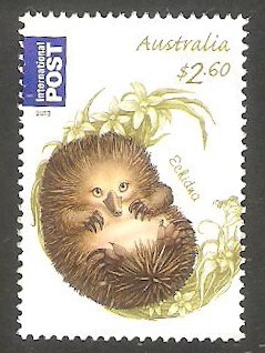 3778 - Echidna, oso hormiguero espinoso