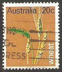 390 - Industria australiana del trigo