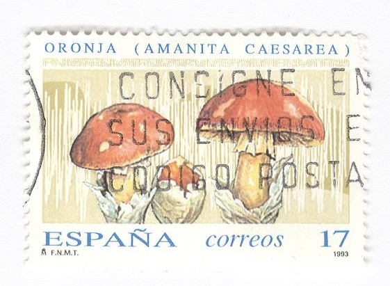 Oronja ( Amanita caesarea)