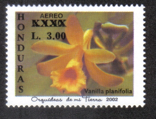 Orquídeas de Mi Tierra