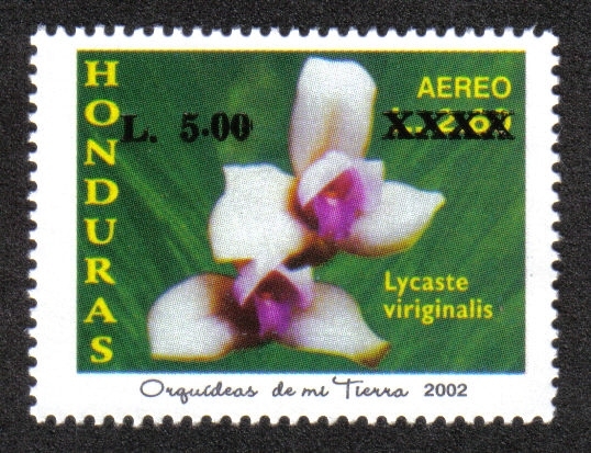 Orquídeas de Mi Tierra