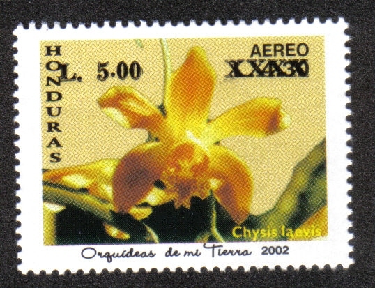 Orquídeas de Mi Tierra