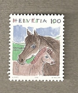 Caballo