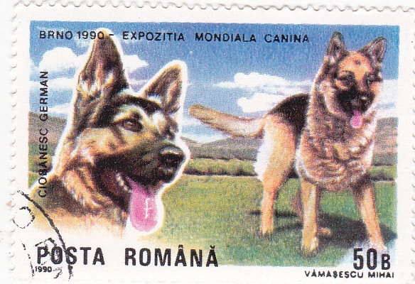 Brno-90 exposición mundial canina