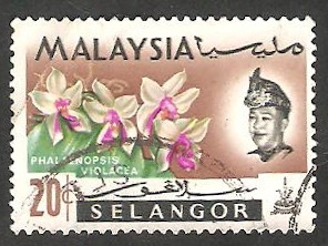 Selangor - 92 - Sultán Salahuddin Abdul Aziz Shah y flores