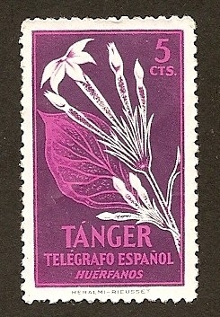 Telegrafos Tanger