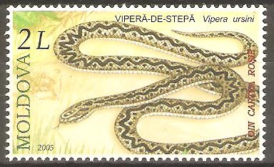 REPTILES  Y  ANFIBIOS  EN  PELIGRO  DE  EXTINCIÒN.  VIPERA  URSINI.