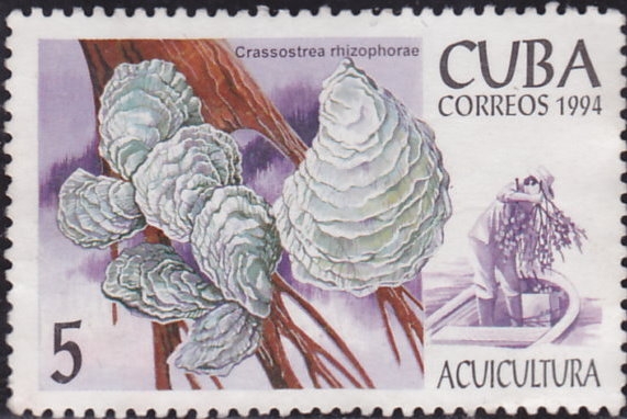 Acuicultura