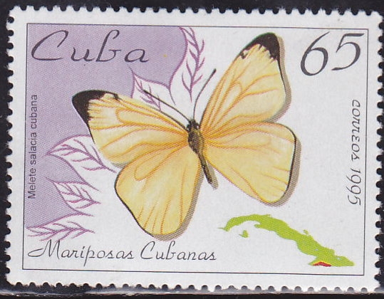 Mariposa