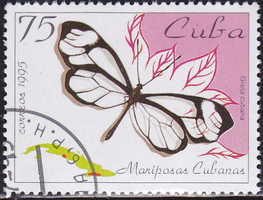 Mariposa