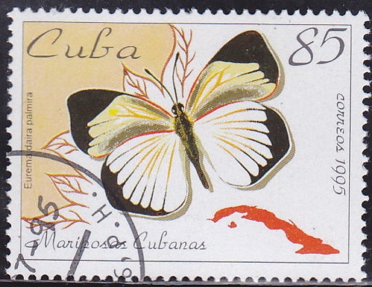 Mariposa