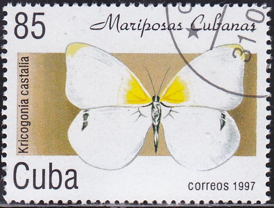 Mariposa