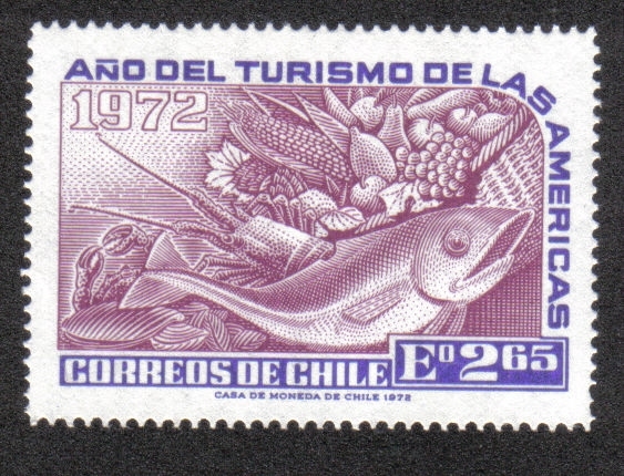 Año de Turismo de las Américas