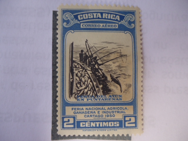 Feria Nacional Agricola, Ganadera e Industrial 1950 - Pesca del Atún en Puntarenas.