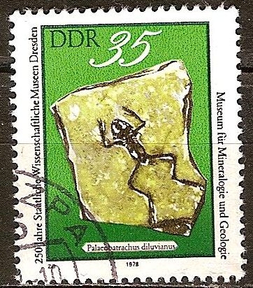 252a Aniv de Dresde Museos Científicos (DDR)