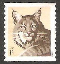 4495 - Un lince