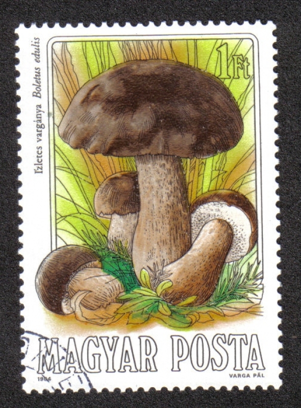 Mushrooms (1984)