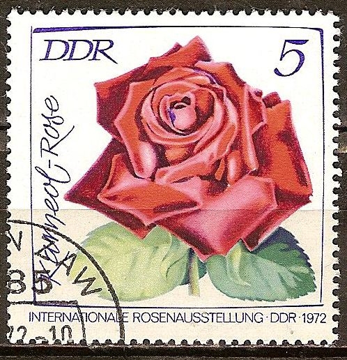 Exposición Internacional de Rosas,1972 en DDR-cornalina Rose.