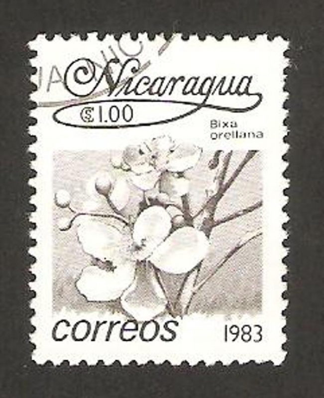 1263 - flor bixa orellana