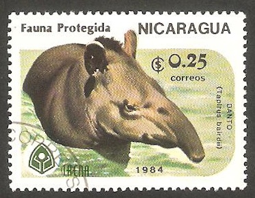 1355 - Fauna protegida, tapirus bairdii