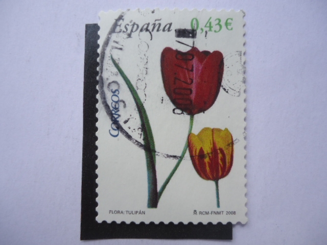 Ed:4381 - Flora:Tulipan.,