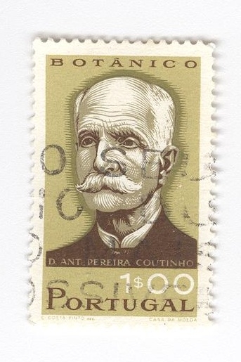 Pereira Coutinho. Botánico