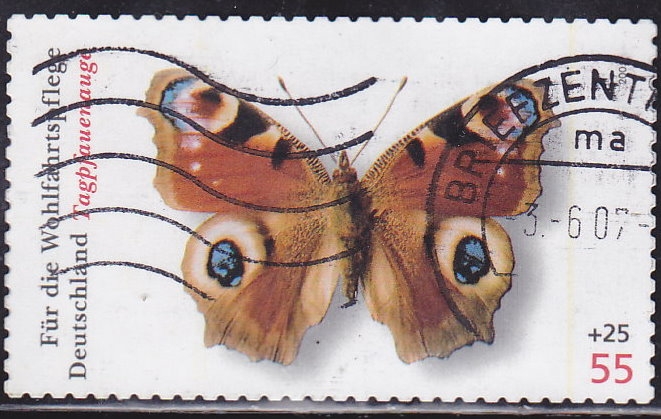 Mariposa