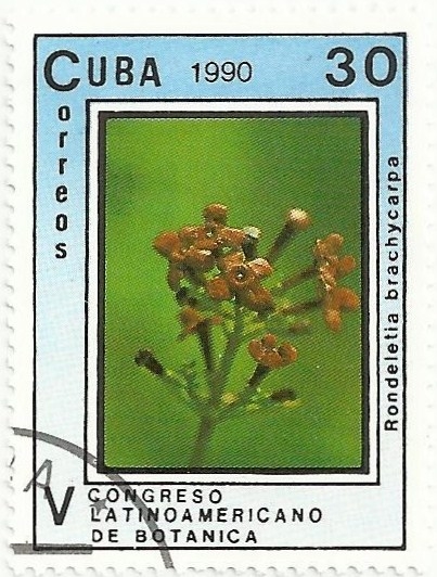 Vº CONGRESO LATINOAMERICANO DE BOTÁNICA. Rondeletia brachycarpa. YVERT CU 3038