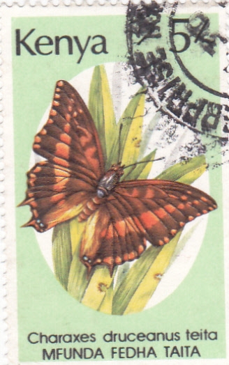 mariposa