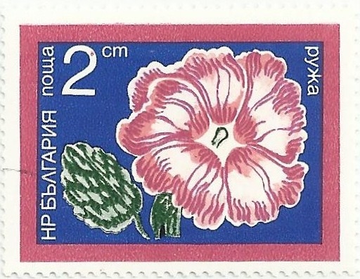 FLORES DE JARDÍN. MALVA REAL, Alcea rosea. YVERT BG 2095