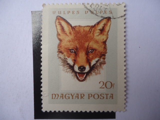 Vulpes - Magyar Posta.