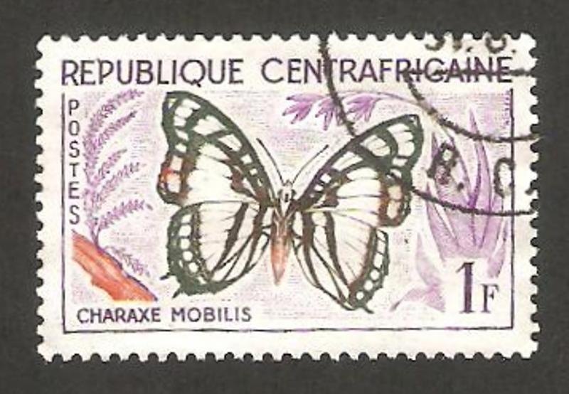 5 - Mariposa charaxe mobilis