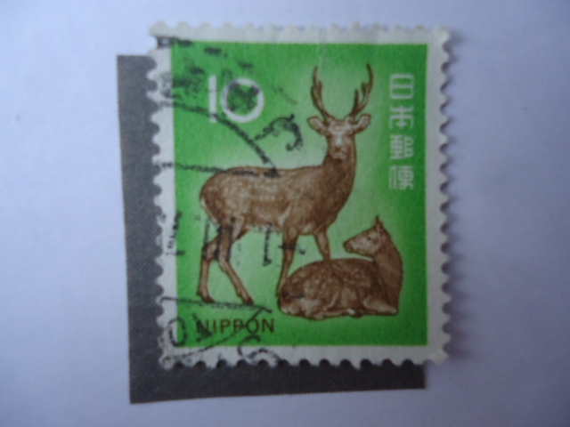 Fauna-Nippon - S/1069