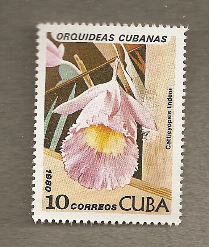 Orquideas cubanas