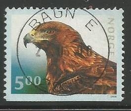 Golden Eagle (Aquila chrysaetos)