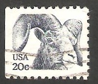 1373 - Mouflon