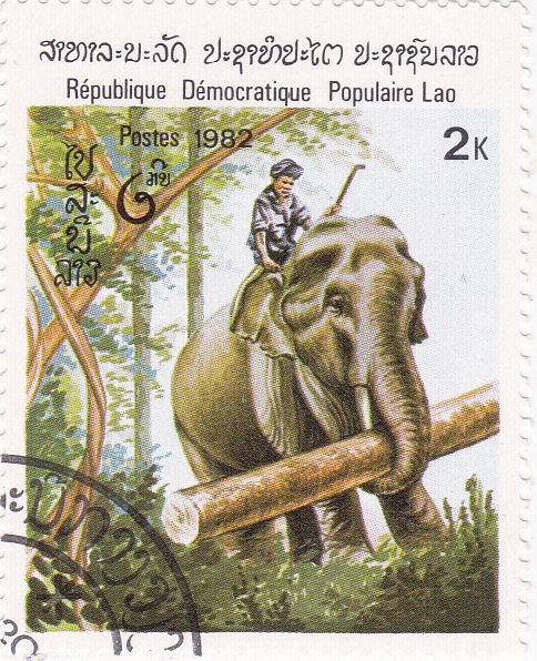 elefante