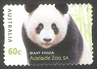 3681 - Panda gigante