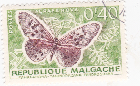 mariposa