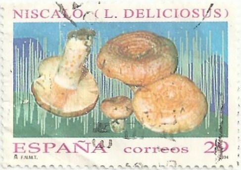 (275) MICOLOGIA. NÍSCALO. Lactarius deliciosus. EDIFIL 3282