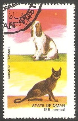 Perro y Gato