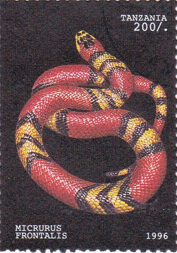 serpiente