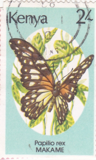 mariposa